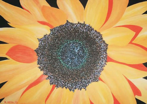 Helianthus Compositae