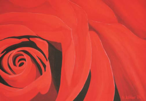 Red Rose