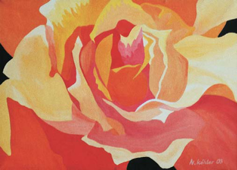 Rosa d&acute;Arancia