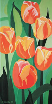 Tulipa
