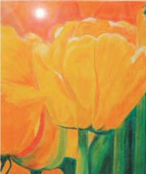 Tulpenfeld (Madeira)