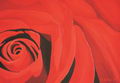 Red Rose