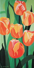Tulipa