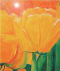 Tulpenfeld (Madeira)