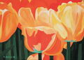 Tulpenfeld